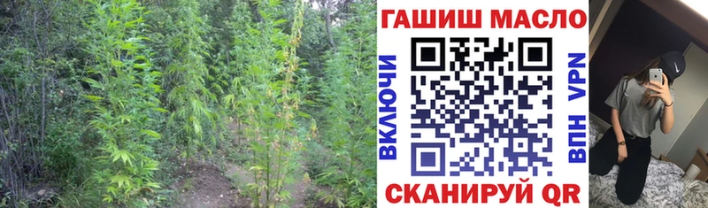 ТГК гашишное масло  Купить где  Павлово 